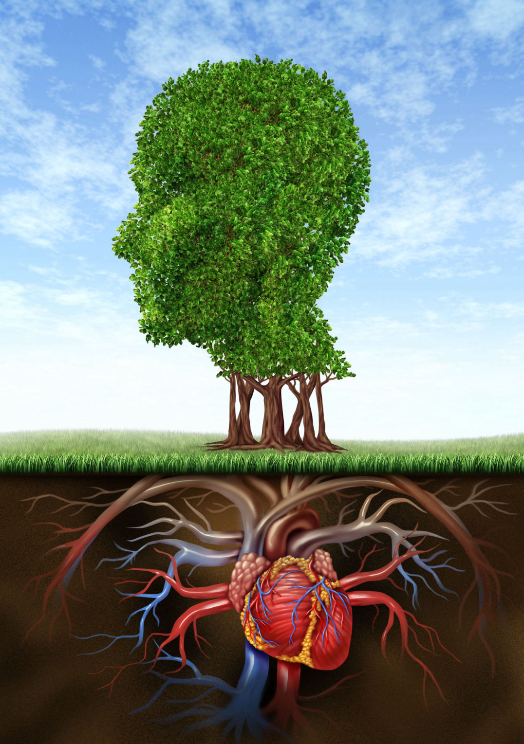 The human spirit